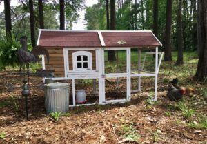 new chicken coop for 3 to 5 chickens, tractor supply chicken coop, easy chicken coop, simple, cheap chicken coop