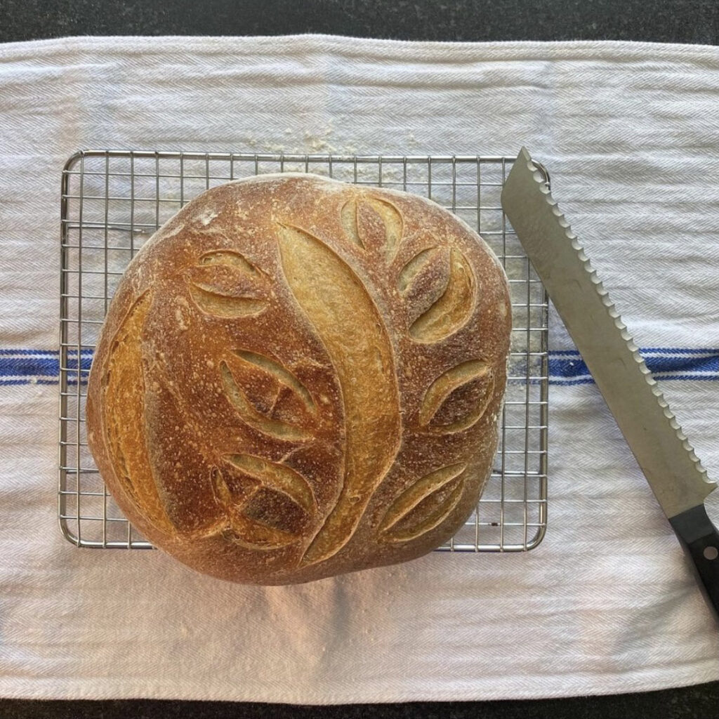 beginner sourdough loaf