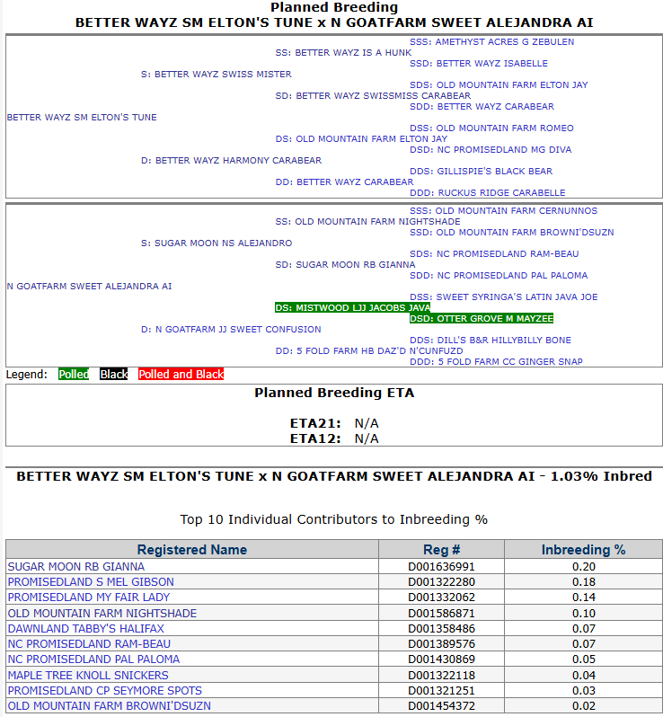 Better Wayz SM Elton's Tune x N GoatFarm Sweet Alejandra AI 2025 kids planned breeding